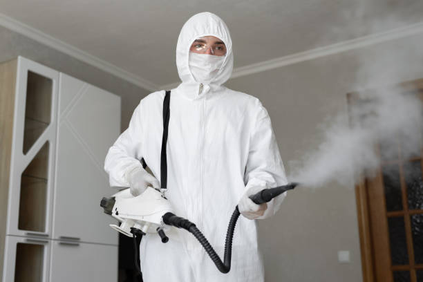 Best Biohazard Mold Removal  in Swarthmore, PA